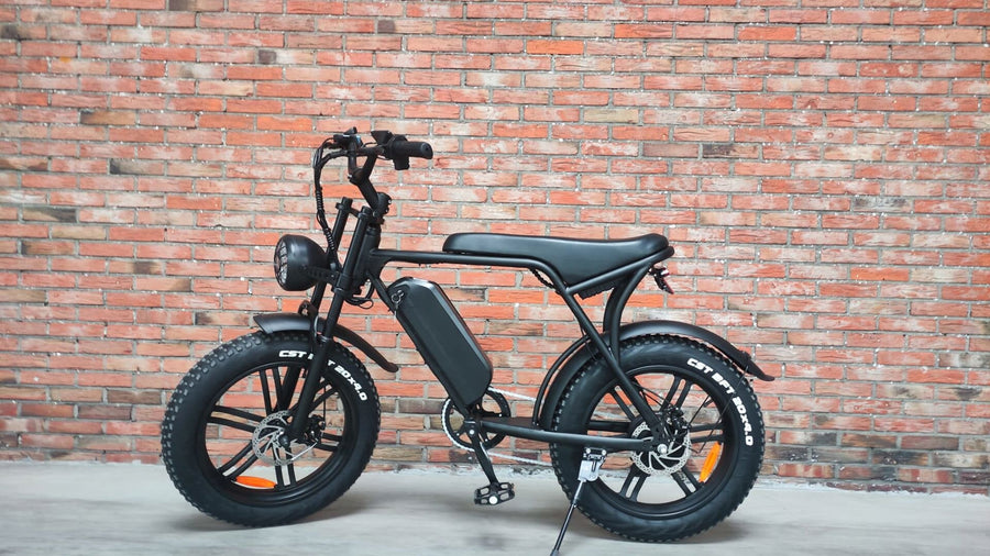 Welke fatbike kun je het beste kopen? (2025)